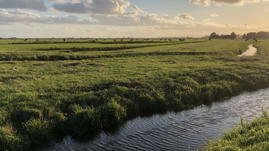Schriftelijke vragen scheurverbod